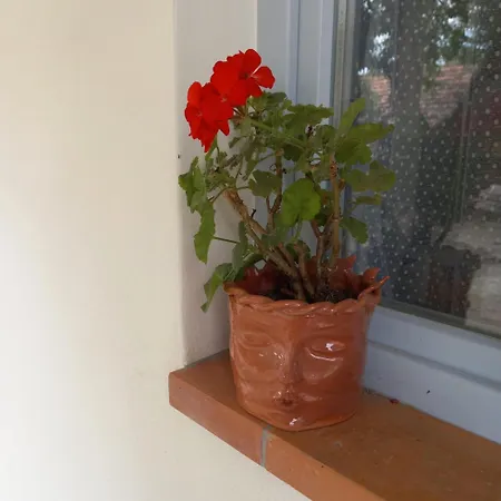 Eden Garten Vendeghaz Pensiune